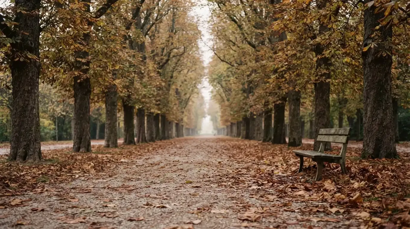 Eine Parkallee mit Kastanienbäumen und einer leeren Bank, Herbstlaub bedeckt den Kiesweg.
