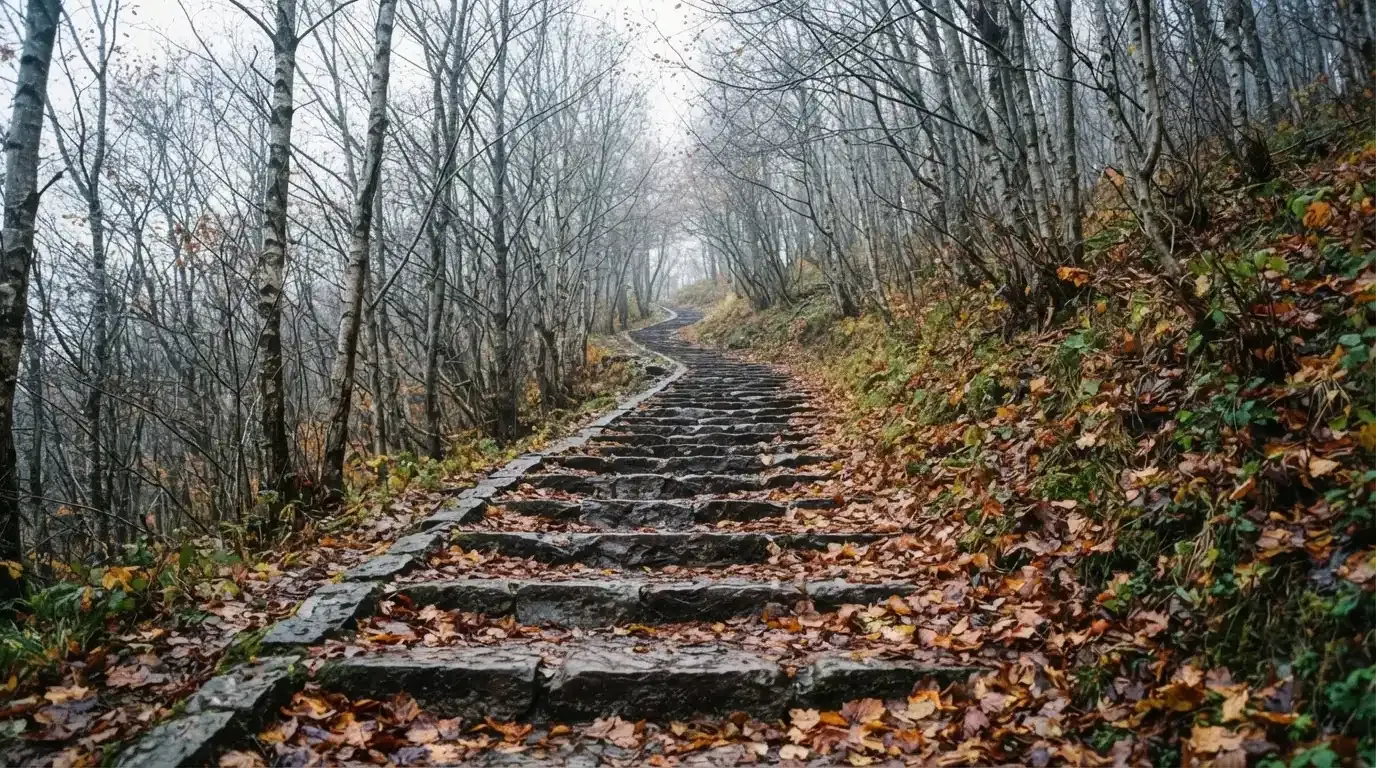 Eine Steintreppe führt einen Hügel hinauf, die Stufen sind mit Herbstlaub bedeckt und seitlich stehen kahle Bäume.