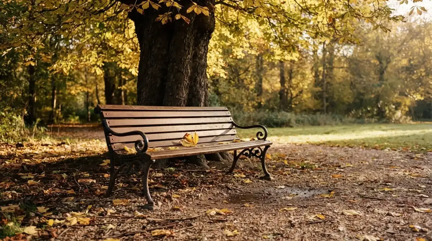 Eine Parkbank unter einer Kastanie im Herbst, auf dem Kiesweg liegen gelbe Blätter.