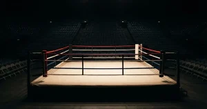 Online Boxen Wetten Schweiz 2026 – Anbieter, Regeln und Risiken