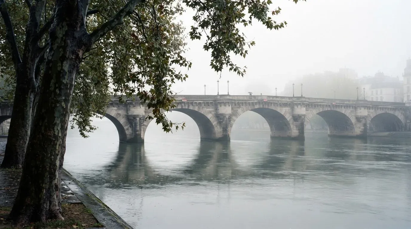 Ein breiter Fluss fliesst unter einer Steinbrücke im Nebel, am Ufer stehen Platanen mit nassen Blättern.