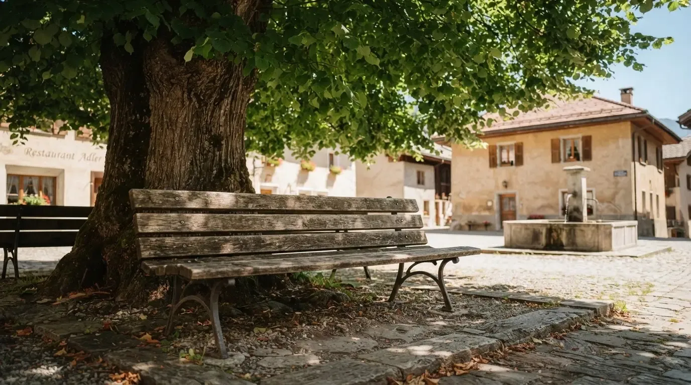 Eine leere Bank steht unter einer alten Linde auf einem Dorfplatz im Schatten.