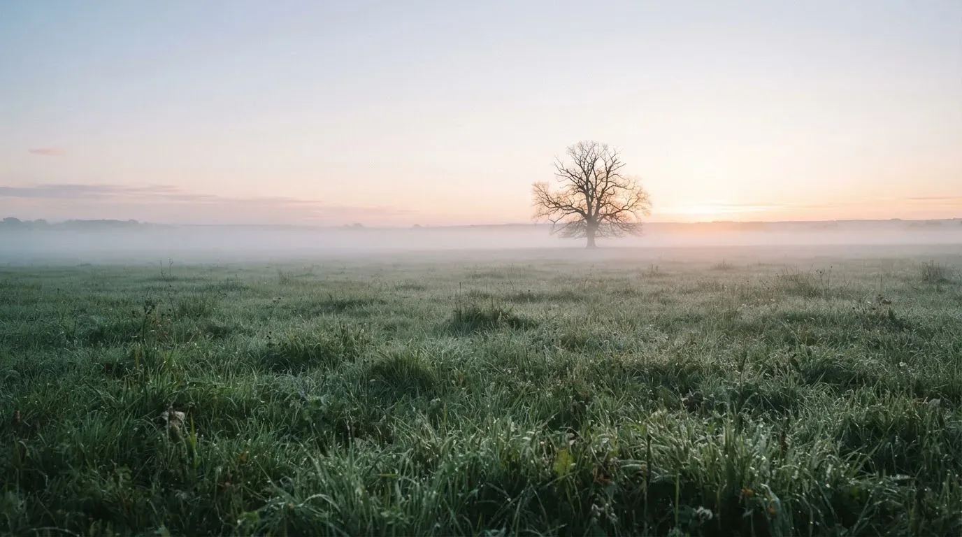 Eine Wiese mit Bodennebel am frühen Morgen, in der Ferne ein einzelner Baum vor hellem Horizont.